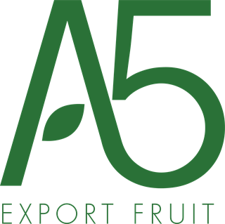 A5 Export Fruit